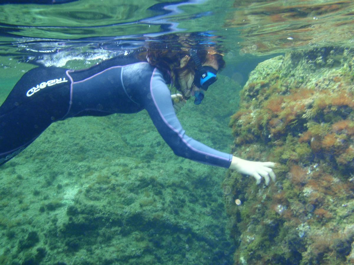 Alberg Costa Brava يانكا المظهر الخارجي الصورة